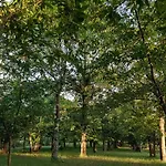 Glamping Frog Farm Foz do Sousa