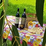 Glamping Frog Farm * Foz do Sousa