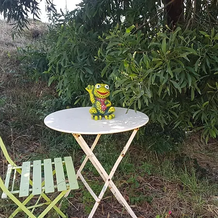 Glamping Frog Farm