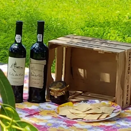 Glamping Frog Farm * Foz do Sousa