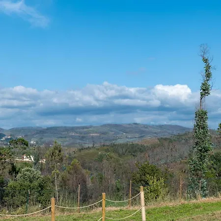 Glamping Frog Farm Tatil Evi