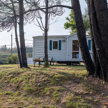 Glamping Frog Farm Dom wakacyjny Foz do Sousa