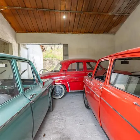 Dom wakacyjny Glamping Frog Farm *