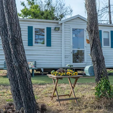 Glamping Frog Farm *