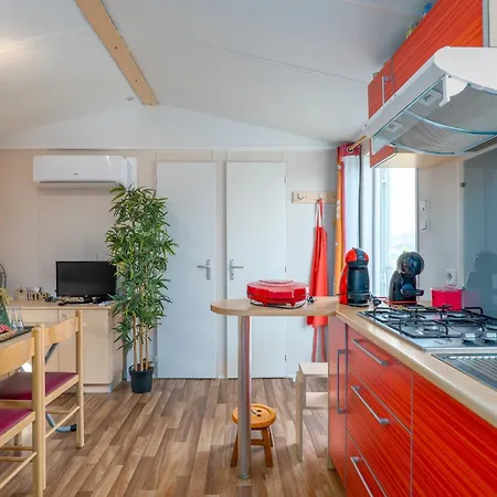 Glamping Frog Farm Foz do Sousa