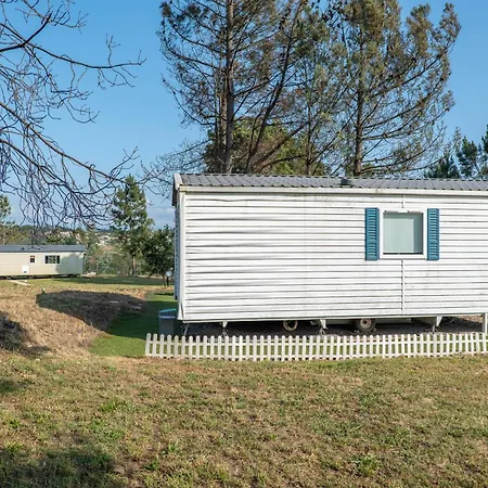 Glamping Frog Farm Foz do Sousa