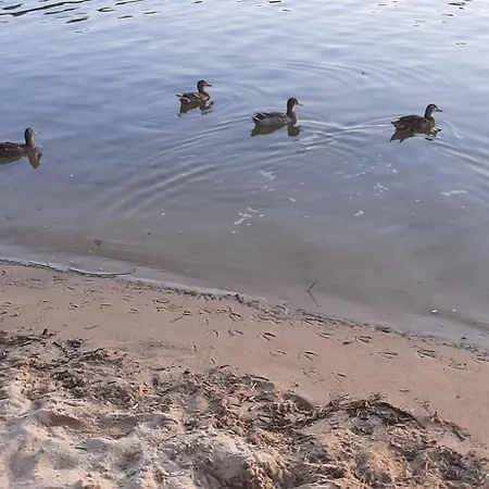 Glamping Frog Farm Foz do Sousa