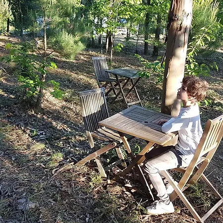 Glamping Frog Farm Feriehus