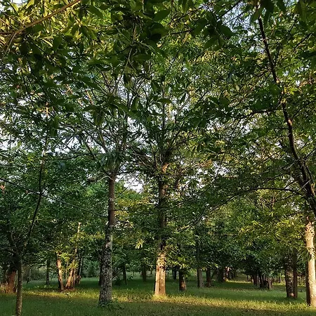 Glamping Frog Farm Foz do Sousa