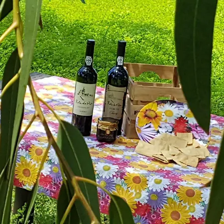 Glamping Frog Farm * Foz do Sousa