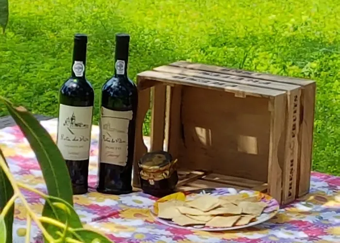 Glamping Frog Farm * Foz do Sousa