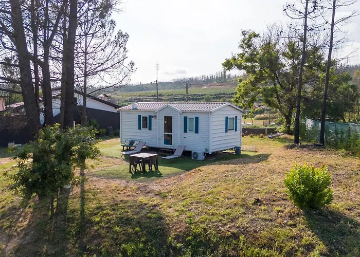 Hébergement de vacances Glamping Frog Farm