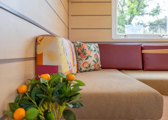 Hébergement de vacances Glamping Frog Farm