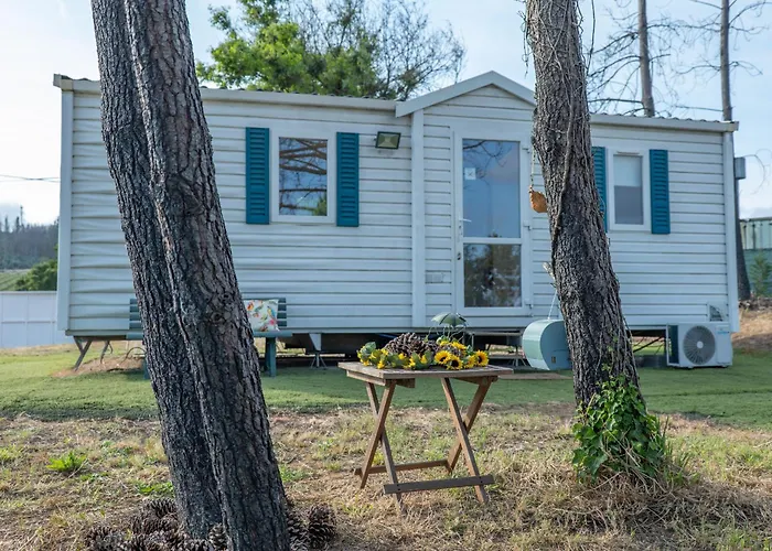 Glamping Frog Farm *