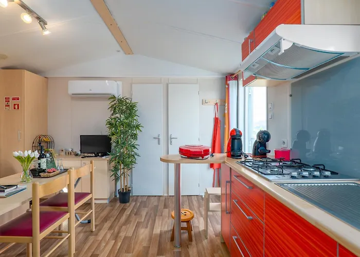 Glamping Frog Farm Foz do Sousa