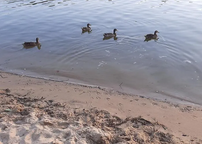 Glamping Frog Farm Foz do Sousa