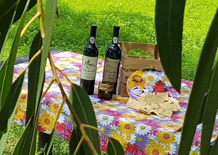 Glamping Frog Farm * Foz do Sousa